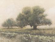 Alexander John Drysdale Louisiana Live Oaks Audubon Park oil painting on canvas